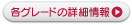 フォード スペクトロン グレード詳細