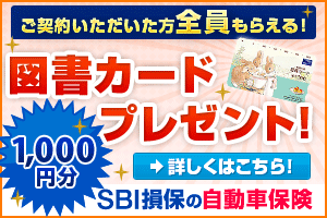 SBI損保の自動車保険